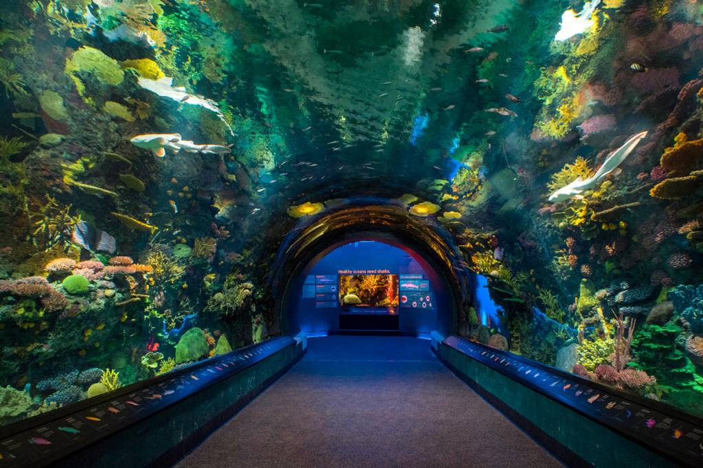 Acuario de Nueva York Citytravelnyc
